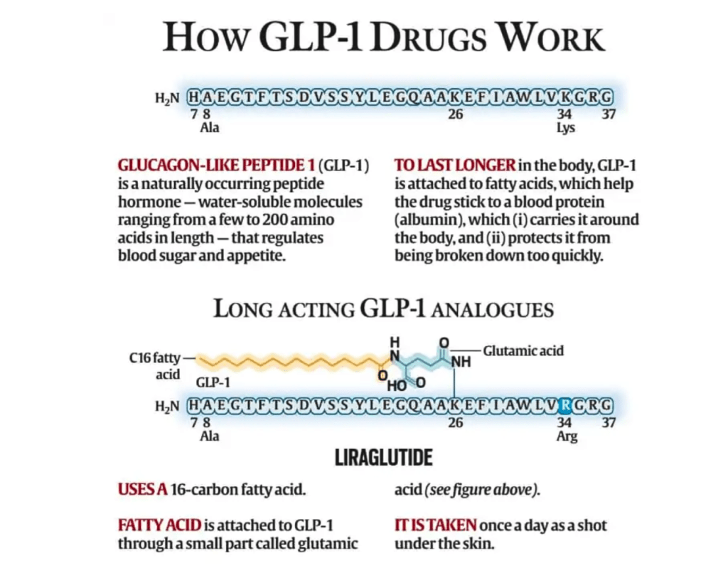 how often do you take glp-1 oral liquid Scam weight-loss drops marketed to Australians contain 'basically salty  water', analysis finds | Scams